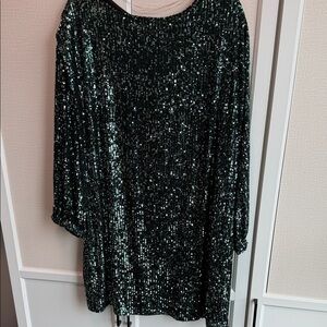 Reitmans Green Sequin Long Sleeve Dress